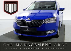 Bild des Angebotes Skoda Fabia Combi 1.0 TSI Style CARPLAY+PDC+SITZH+TEMP