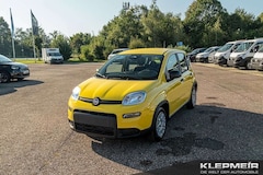 Bild des Angebotes Fiat Panda Panda Hybrid 1.0 GSE 51kw (70PS)