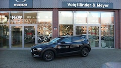 Bild des Angebotes Mazda CX-30 2.5L e-SKYACTIV 140ps Homura Kamera