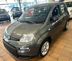 Bild des Angebotes Fiat Panda Base - coole Ausstattung