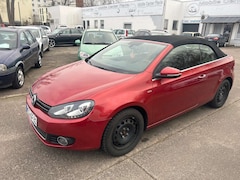 Bild des Angebotes VW Golf Cabriolet Life Xenon PDC SHZ Navigation 8 fach Bereifung