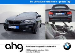Bild des Angebotes BMW 230 i Cabrio M Sport Navi Klima PDC Leder Harman
