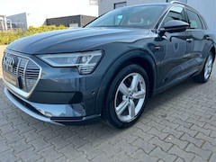 Bild des Angebotes Audi e-tron 50 quattro advanced Luftf. Panno Leder