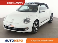 Bild des Angebotes VW Beetle 2.0 TDI Cup*PDC*SHZ*TEMPO*