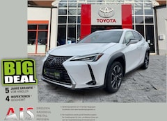 Bild des Angebotes Lexus UX 250h Style Edition ACC*KAM*DAB*SHZ*LenkradHz