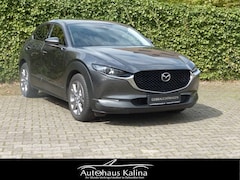 Bild des Angebotes Mazda CX-30 SKYACTIV-G 122PS SELCETION + DESIGN-Paket + ACTIVE