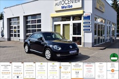Bild des Angebotes VW Beetle Design TÜV-Neu Pano Automatik GARANTIE