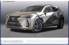 Bild des Angebotes Lexus UX 250h 250h Aut. Style+ Edition KAMERA LED LHZ SHZ