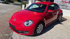 Bild des Angebotes VW Beetle The Beetle 1.2 TSI CUP