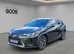 Bild des Angebotes Lexus UX 250h LED ACC Apple CarPlay Android Auto Mehrzonenklima