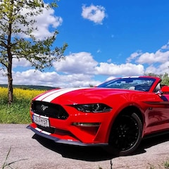 Bild des Angebotes Ford Mustang Convertible 5.0 Ti-VCT V8 Aut. GT