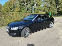 Bild des Angebotes Audi Cabriolet A5