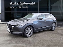Bild des Angebotes Mazda CX-30 e-SKYACTIVE G 140 Aut. TAKUMI