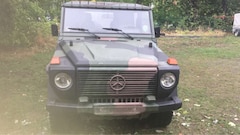 Bild des Angebotes Mercedes-Benz G 250 Wolf