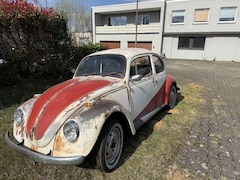 VW Käfer VW 1200