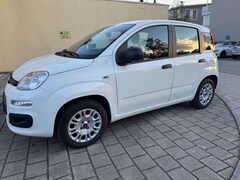 Bild des Angebotes Fiat Panda Easy / SITZHEIZUNG / PDC