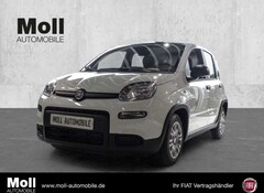 Bild des Angebotes Fiat Panda Mild Hybrid City Paket Gelato Weiß