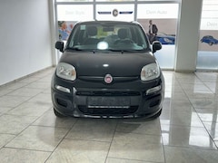 Bild des Angebotes Fiat Panda 1.2 8V Klima eFH Tagfahrlicht ZV ESP ABS Servo TRC
