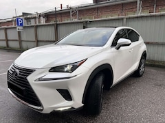 Bild des Angebotes Lexus NX 300h Executive Line Kamera Panoramadach