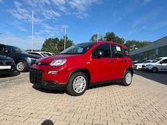 Bild des Angebotes Fiat Panda Neues Modell 1.0 *5 Sitzer Klima PDC DAB*