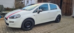 Bild des Angebotes Fiat Punto Young