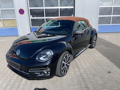 Bild des Angebotes VW Beetle Cabrio Sonderm. Karmann*Kamera*Xenon*19Zo