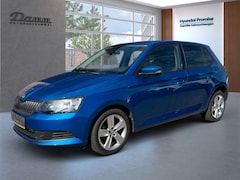 Bild des Angebotes Skoda Fabia Cool Edition
