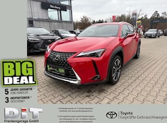 Bild des Angebotes Lexus UX 250h Style Edition LED, Kamera, AppleCarPlay