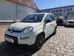 Bild des Angebotes Fiat Panda Base   NAVI Klima Sommer.-u. Winterräder