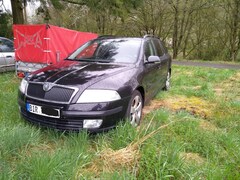 Bild des Angebotes Skoda Octavia Octavia II Combi Combi 2.0 FSI Automatik Elegance