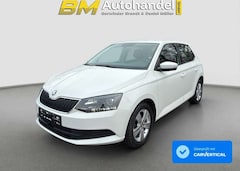 Bild des Angebotes Skoda Fabia Tempomat*Klima*Keyless*Xenon*Wartung NEU