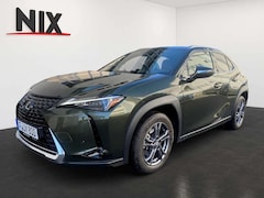 Bild des Angebotes Lexus UX 250h 2.0 Hybrid Executive Line