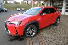 Bild des Angebotes Lexus UX 250h SHZ+Kamera+WKR+DAB+Leder+Bluet.+Carplay