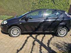 Bild des Angebotes Fiat Punto Evo Punto Evo 1.4 16V Multiair Racing Start