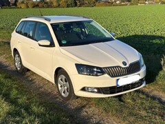 Bild des Angebotes Skoda Fabia Combi 1.0 TSI Style 110 PS
