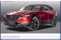 Bild des Angebotes Mazda CX-30 2.0 X Aut. Homura NAVI HEADUP RFK LHZ SHZ