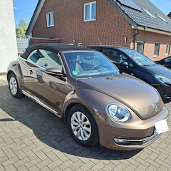 Bild des Angebotes VW Beetle Design BMT