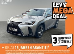 Lexus UX 250h 300h F-Sport Design *NAVI*LEDER*