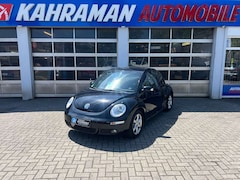 VW Käfer Freestyle