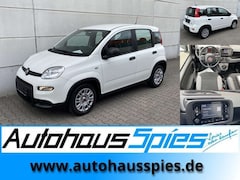 Bild des Angebotes Fiat Panda 1.0 Mild Hybrid  Base Klima DAB