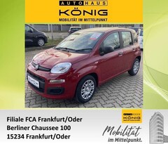 Bild des Angebotes Fiat Panda MY25 1.0 Klima PDC Citypaket
