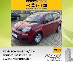 Bild des Angebotes Fiat Panda MY25 1.0 Klima PDC Citypaket