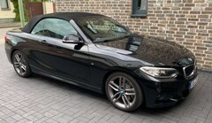 Bild des Angebotes BMW 228 228 i M Sport