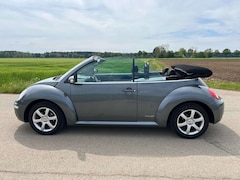 Bild des Angebotes VW New Beetle New Beetle Cabriolet Cabriolet 1.6 Freestyle