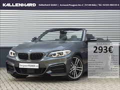 Bild des Angebotes BMW 240 xDrive Cabrio-M-Perfomance-H&K-ACC-Kamera