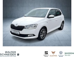 Bild des Angebotes Skoda Fabia 1.0 TSI Clever SHZ PDC