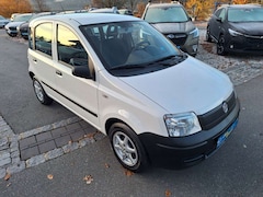 Bild des Angebotes Fiat New Panda 1.1 8V Active
