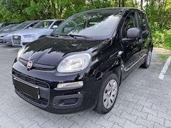 Bild des Angebotes Fiat Panda 1.2 Pop