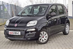 Bild des Angebotes Fiat Panda 1.2 Pop