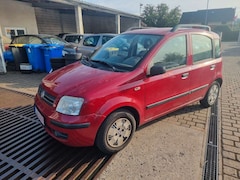 Bild des Angebotes Fiat New Panda 1.2 Servo 1.Hand Zv. El.Fh Scheckheft